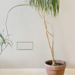 Framed Wall Vent (Luxe) (4"x10")