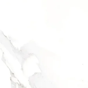 Satvario Elegant 12-inch x 24-inch Glossy Porcelain Tile $3.99/sqft