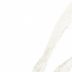 Segway Saturio 12-inch x 24-inch Glossy Porcelain Tile $3.99/sqft