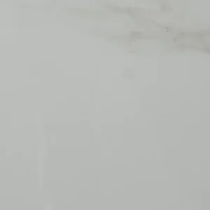 Tetra BG 12-inch x 24-inch Glossy Porcelain Tile $3.99/sqft