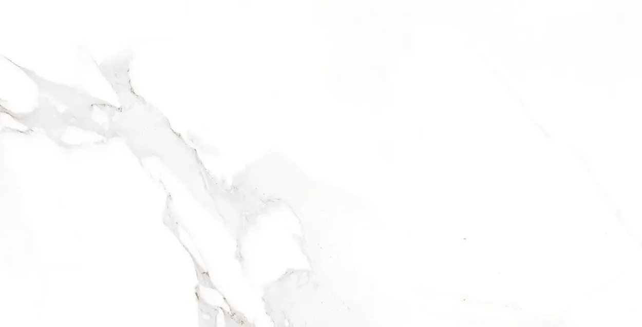 Satvario Elegant 24-inch x 24-inch Glossy Porcelain Tile $4.99/sqft