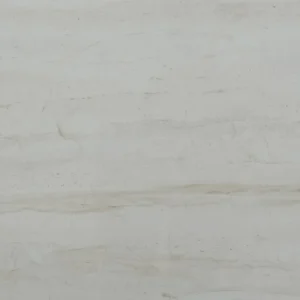 Diana Antique Light 24-inch x 24-inch Glossy Porcelain Tile $4.99/sqft