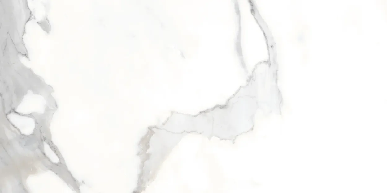 Thassos White 24-inch x 24-inch Glossy Porcelain Tile $4.99/sqft