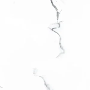 Venus Bianco 24-inch x 24-inch Glossy Porcelain Tile $4.99/sqft