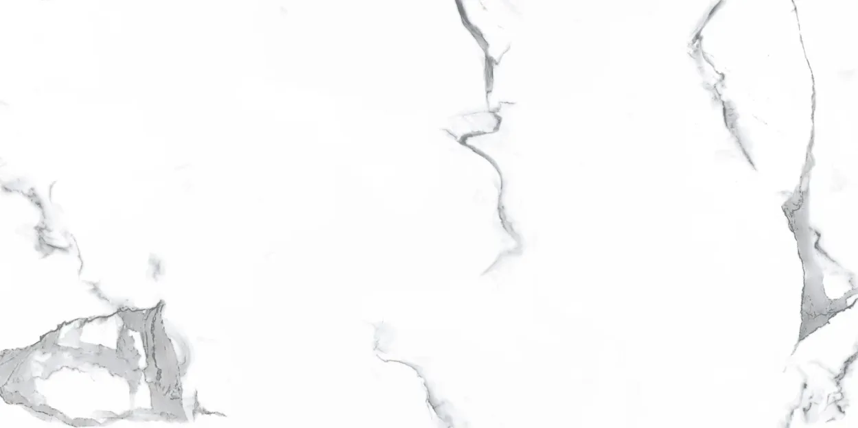 Venus Bianco 24-inch x 24-inch Glossy Porcelain Tile $4.99/sqft