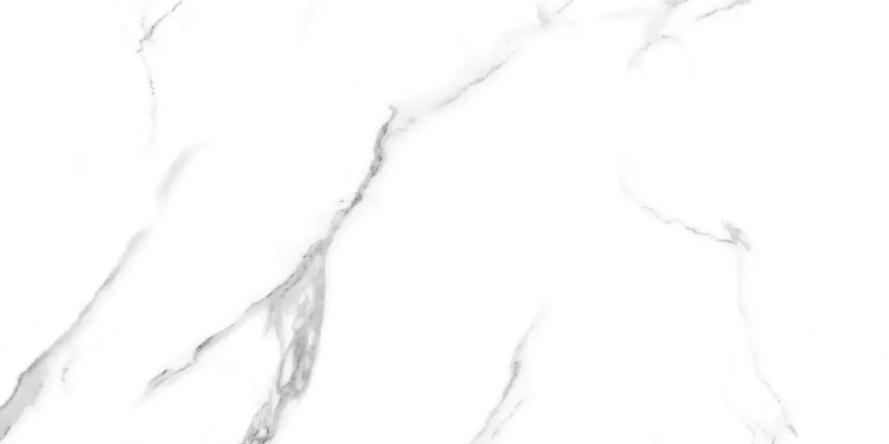 Effco Satvario Glossy 24-inch x 24-inch Glossy Porcelain Tile $4.99/sqft