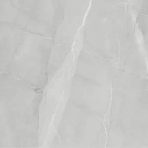 Amaretto Grey 24-inch x 24-inch Matt Porcelain Tile $4.99/sqft