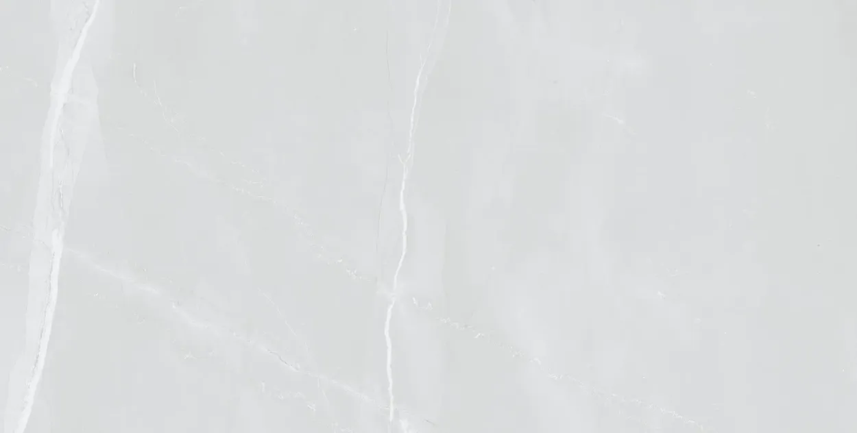 Amaretto Silver 24-inch x 24-inch Matt Porcelain Tile $4.99/sqft