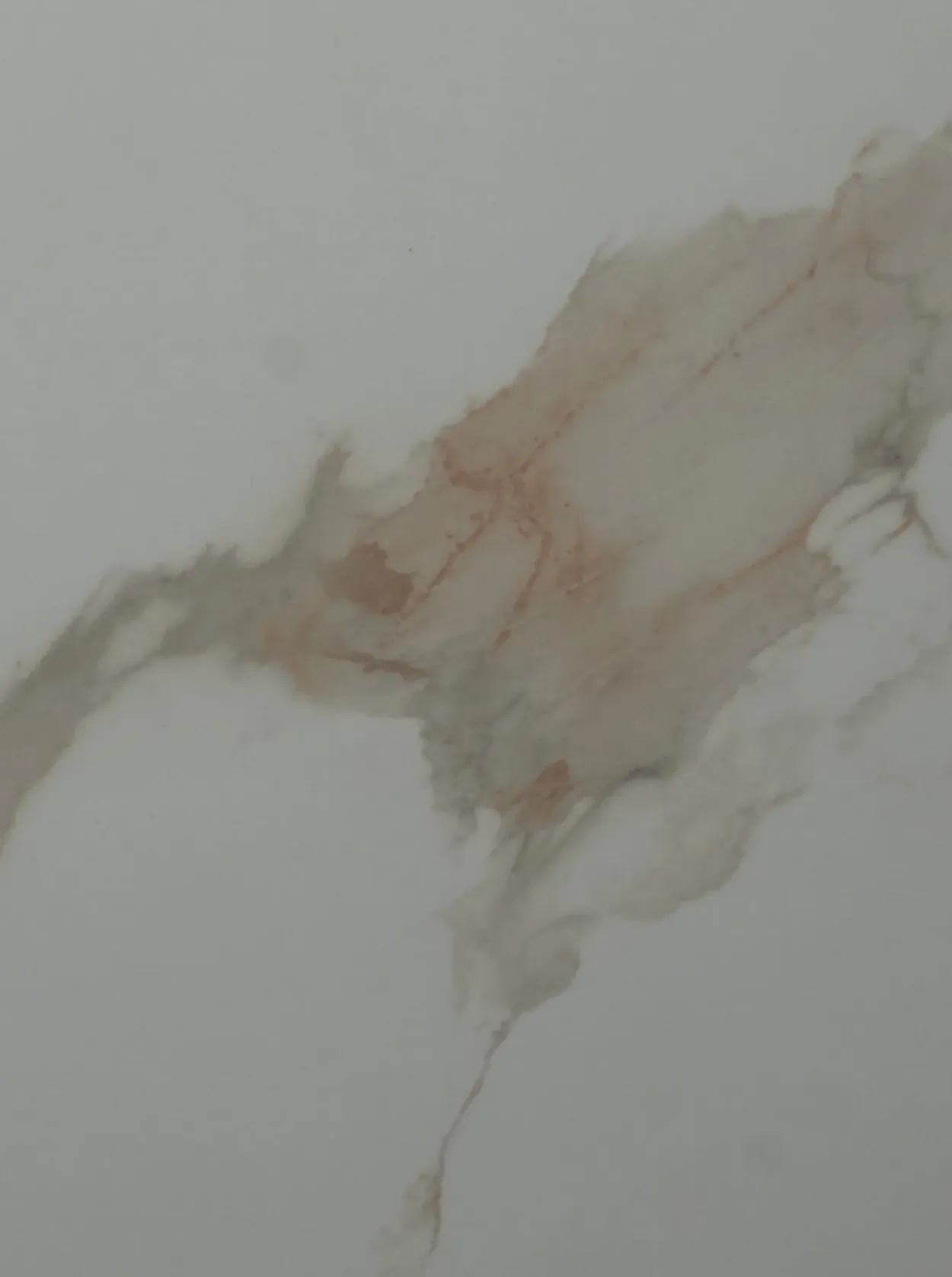 EUT-34 24-inch x 24-inch Glossy Porcelain Tile $4.99/sqft