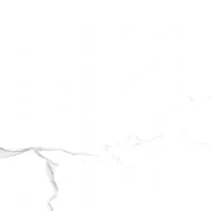 Satvario 24-inch x 48-inch Glossy Porcelain Tile $5.99/sqft