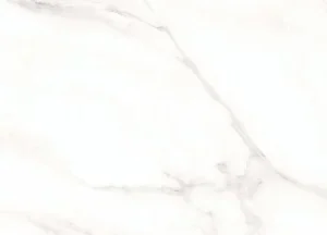 6292 24-inch x 48-inch Glossy Porcelain Tile $5.99/sqft
