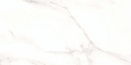 6292 24-inch x 48-inch Glossy Porcelain Tile $5.99/sqft