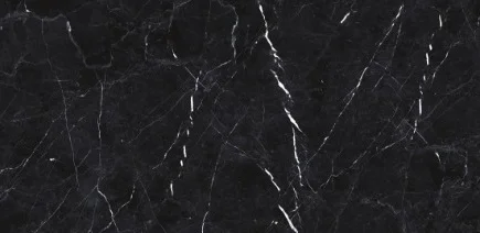 Black Marmo 24-inch x 48-inch Glossy Porcelain Tile $5.99/sqft