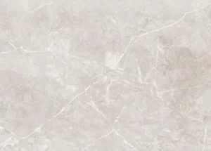 Neolith Grey 24-inch x 48-inch Glossy Porcelain Tile $5.99/sqft