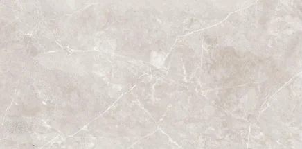 Neolith Grey 24-inch x 48-inch Glossy Porcelain Tile $5.99/sqft
