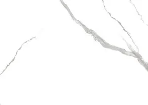 Royal Glacier 24-inch x 48-inch Glossy Porcelain Tile $2.99/sqft