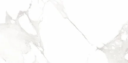 Soft Satvario 24-inch x 48-inch Glossy Porcelain Tile $5.99/sqft