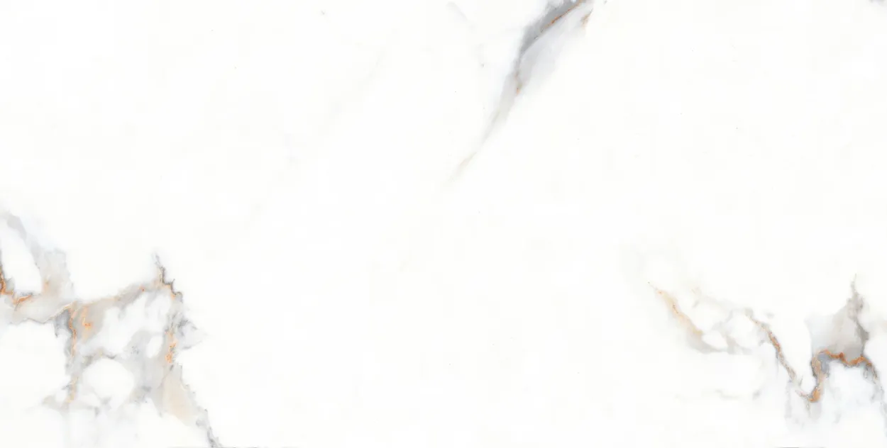 Carrara Grace 24-inch x 48-inch Glossy Porcelain Tile $5.99/sqft