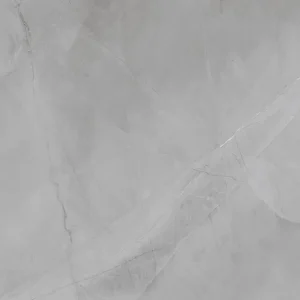 Armani Harbour Grey 24-inch x 48-inch Glossy Porcelain Tile $5.99/sqft