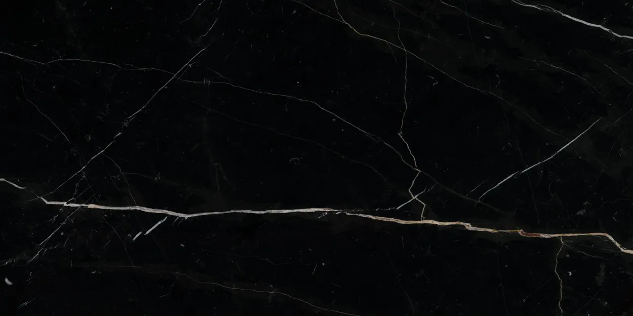 Elite Marquina 24-inch x 48-inch High Gloss Porcelain Tile $6.99/sqft