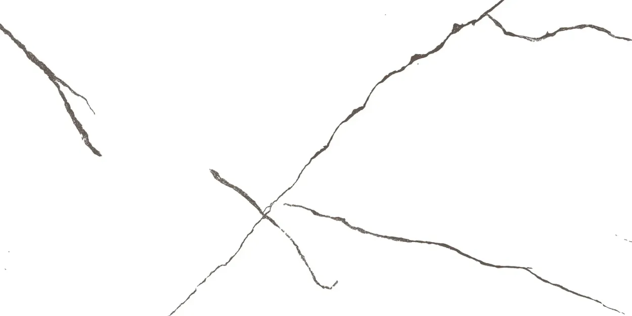 White Forest 24-inch x 48-inch High Gloss Porcelain Tile $6.99/sqft