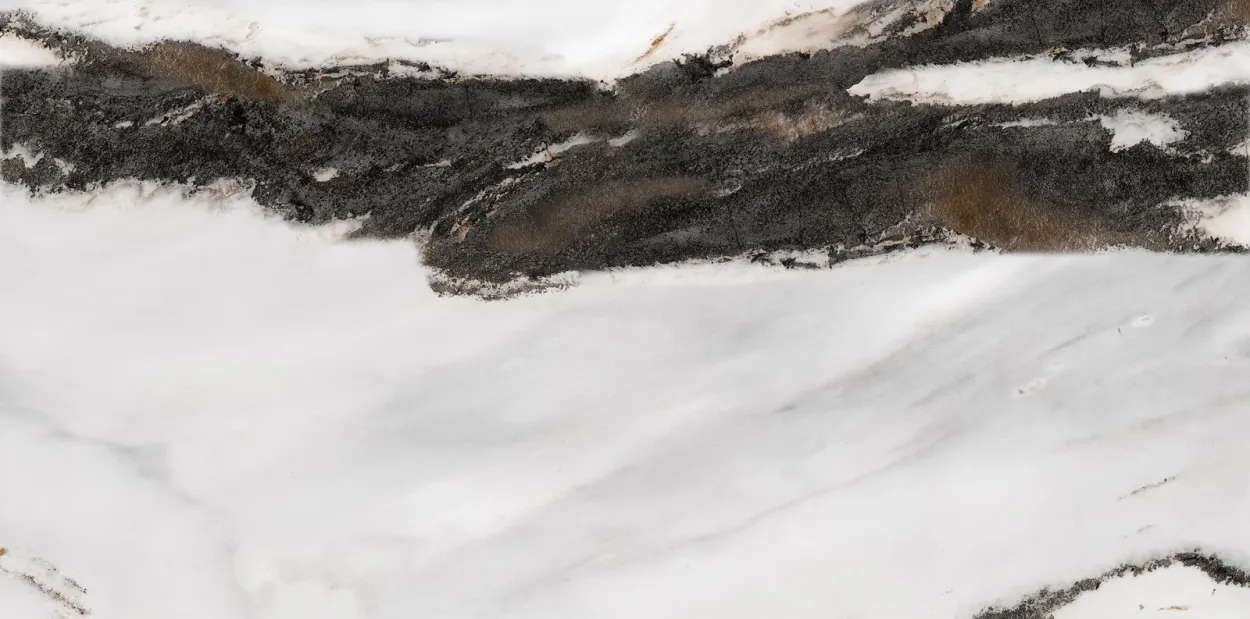 Sneaky Natural 24-inch x 48-inch Glossy Porcelain Tile $5.99/sqft