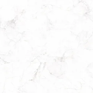 EUT-35 24-inch x 48-inch Glossy Porcelain Tile $5.99/sqft