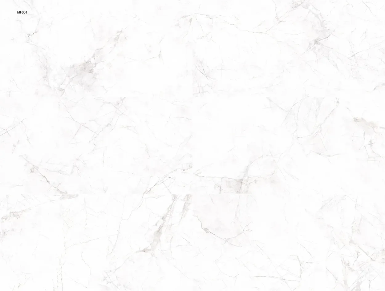 EUT-35 24-inch x 48-inch Glossy Porcelain Tile $5.99/sqft