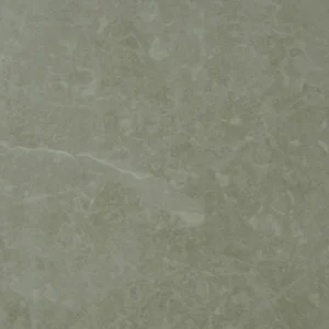 GL-002 24-inch x 48-inch Glossy Porcelain Tile $5.99/sqft