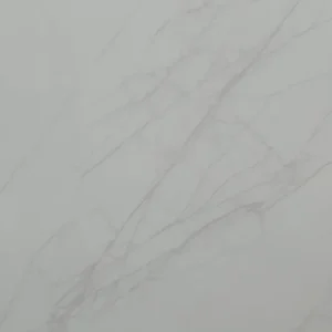 GL-006 24-inch x 48-inch Glossy Porcelain Tile $5.99/sqft