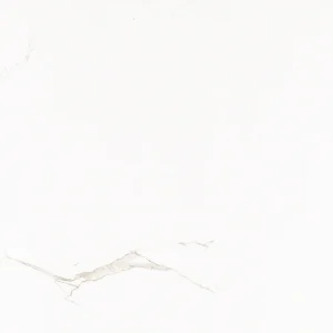 Premium Motion 12-inch x 24-inch Glossy Porcelain Tile $3.99/sqft