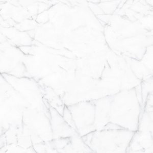 Eterna (Carrara Gioia) 24-inch x 48-inch Glossy Porcelain Tile $8.99/sqft