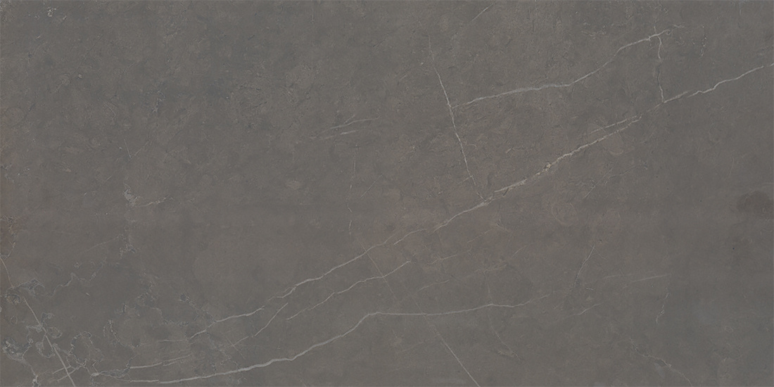 Eterna (Dark Grey) 24-inch x 48-inch Glossy Porcelain Tile $8.99/sqft