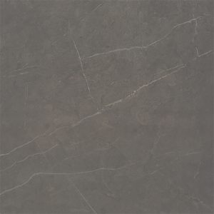 Eterna (Dark Grey) 24-inch x 24-inch Matt Porcelain Tile $6.99/sqft