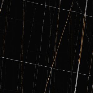 Eterna (Sahara Noir) 24-inch x 24-inch Glossy Porcelain Tile $7.99/sqft