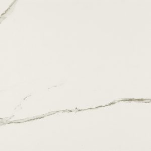 Everlast (Albatros) 12-inch x 24-inch Matt Porcelain Tile $6.99/sqft