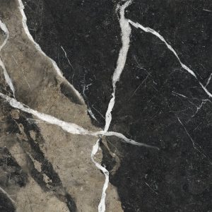 Marmi Alpi (Calacatta Black) 24-inch x 24-inch Glossy Porcelain Tile $9.99/sqft