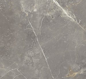 Marmorea (Grigio Imperiale) 12-inch x 24-inch Matt Porcelain Tile $11.99/sqft