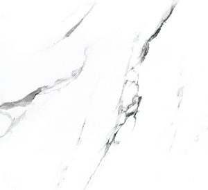 Carrara X 12-inch x 24-inch Matt Porcelain Tile $6.99/sqft