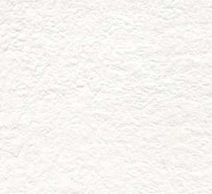 Regal (Shell White) 12-inch x 24-inch Flamed Porcelain Tile $6.99/sqft