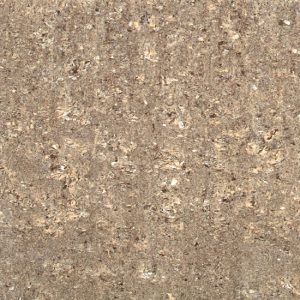 Regal (Noce) 12-inch x 12-inch Matt Porcelain Tile $5.99/sqft