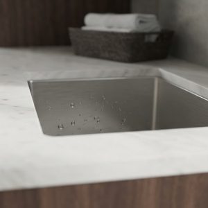 Stainless Steel Laundry Utility Sink for Home and Garage